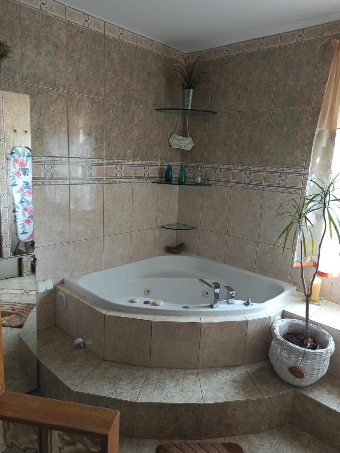 Suwalski Zakatek Apartment